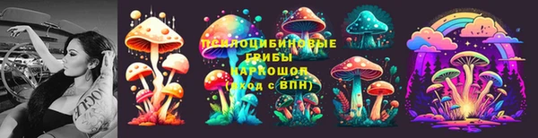 a pvp Киренск
