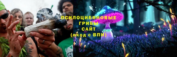 сатива Киреевск