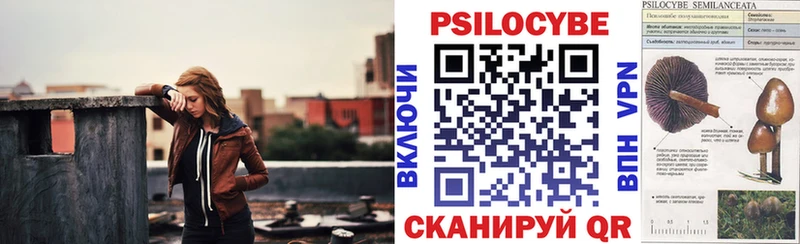 Купить закладки  Покровск  Галлюциногенные грибы Psilocybe 